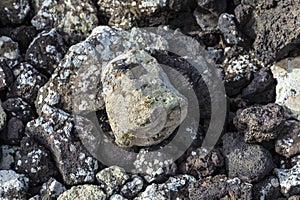 Pattern of solified lava in Timanfaya national park