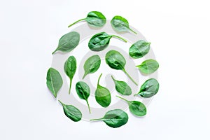 The pattern of spinach leaves on a white background