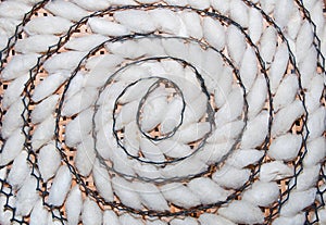 The Pattern spiral of silkworm cocoon