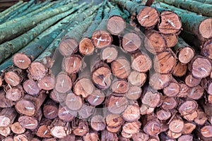 Pattern of stack of rough sawn timber