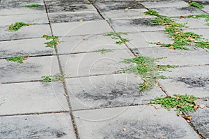 Pattern of stone floor tile.