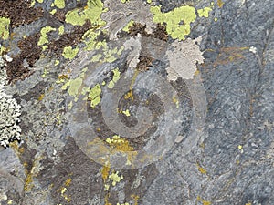 Pattern stone with rough structure and lichen, mountain backdrop. Natural stone surface texture