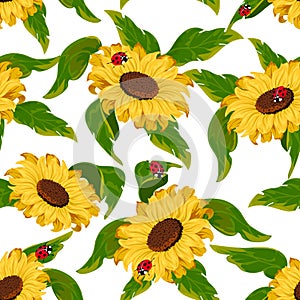 Pattern with sunflowers and ladybirds.