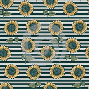 Pattern with sunflowers on striped background