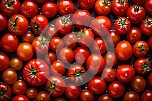 Pattern texture background of many vine ripened fresh raw tomatoes