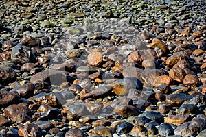 Pattern, texture or background of wet stones lying on a beach