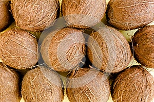 Pattern, texture with coconuts on white background. Tropical abstract background. Flat lay, top view.