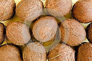 Pattern, texture with coconuts on white background. Tropical abstract background. Flat lay, top view.