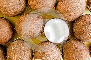 Pattern, texture with coconuts on white background. Tropical abstract background. Flat lay, top view.