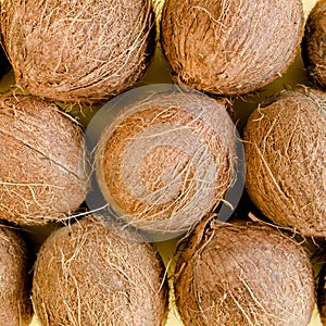 Pattern, texture with coconuts on white background. Tropical abstract background. Flat lay, top view.