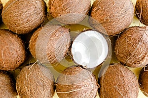 Pattern, texture with coconuts on white background. Tropical abstract background. Flat lay, top view.