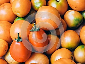 Pattern texture, of fresh picked mediterranean tomatoes