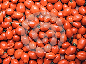 Pattern texture, of freshly picked Italian red tomatoes