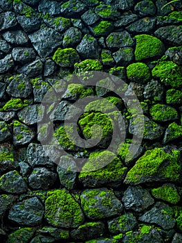 Green rock background