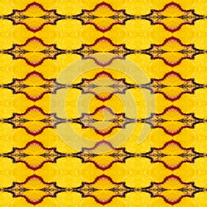 Pattern texture of yellow and red sikkim silk butterfly wing G