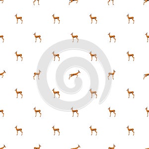 Pattern with Thomson`s gazelles