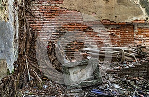 The pattern of tree roots growing on the old red brick wall of abandoned ancient building