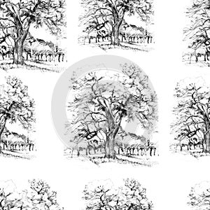 Pattern with trees. Hand-drawn illustration. Wildlife, park. Oak, branches, sprawling crown. Print, textile, paper, fabri