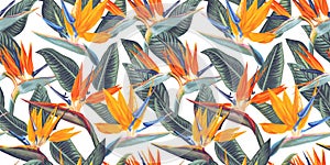 Pattern with tropical flowers and leaves of Strelitzia, called crane flower or bird of paradise.