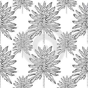 Pattern tropical leaves doodles illustration White background