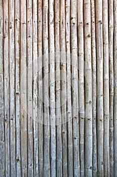 Pattern of vintage bamboo panel