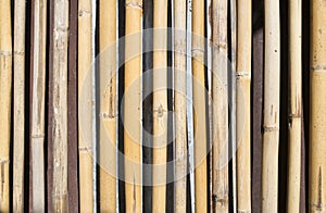 pattern wall decoration bamboo background