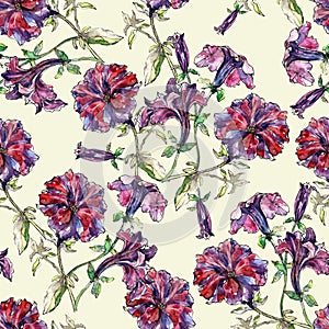 Pattern from watercolor flowers petunia.