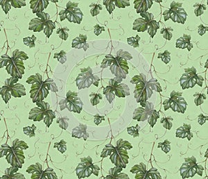 Pattern with watercolor grape leaves