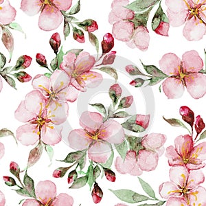 Pattern of watercolor sakura flowers