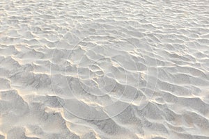 Pattern of waves in the sanddune