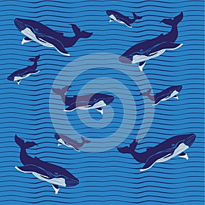 Pattern Whale blue