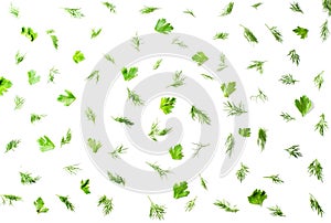 Pattern on a white background with dill, parsley. Top view