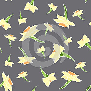 Pattern with white daffodils on a gray background, stock vector illustration for design and decor