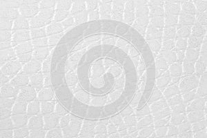 Pattern of white leather texture for background