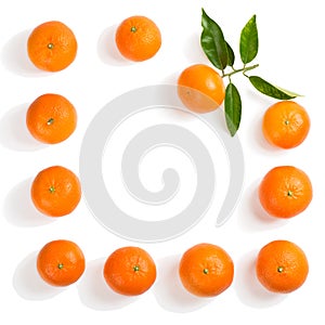 Pattern with whole tangerines.