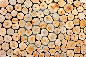 Pattern of wood log pile background