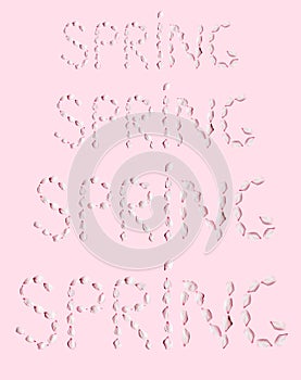 Pattern of word SPRING made of cherry petals on pink background