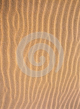 Pattern of wrinkles in sand
