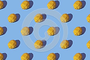 Pattern with yellow Citron Citrus medica on blue