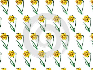 Pattern yellow Narcissus watercolor. drawing flowers of narcissus, floral elements with watercolor spots