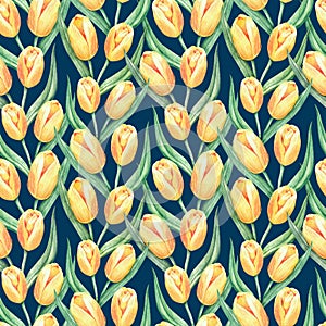 Pattern, yellow tulips