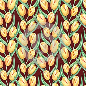 Pattern, yellow tulips