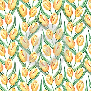 Pattern, yellow tulips