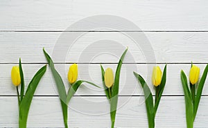 Pattern of yellow tulips