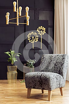 Patterned armchair in dark living room interior with chandelier above plants and poster