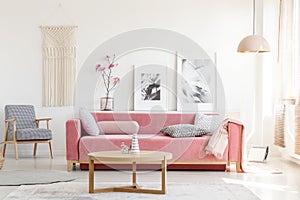 Patterned armchair and pink couch in feminist apartment interior