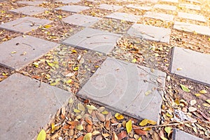 Patterned brick flooring.