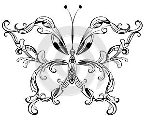 Patterned butterfly photo