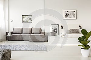 Patterned carpet in front of grey corner couch in open space int