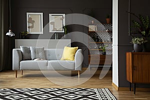 Patterned carpet in front of grey sofa in scandi living room interior with posters and lamp. Real photo